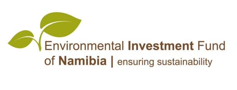 EIF LOGO(1)